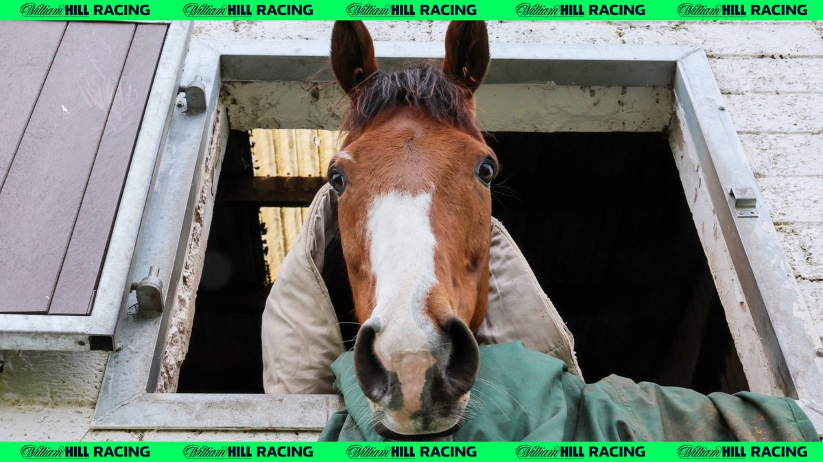 Corach Rambler DECLARED for the Punchestown Gold Cup! 🏆 @lucindavrussell | #PunchestownFestival