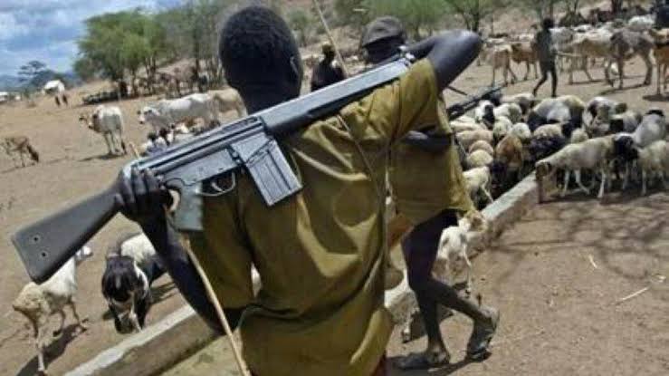 At Least Four Killed, Many Others Injured As Herdsmen Attack Enugu Community | Sahara Reporters bit.ly/4aVLEZF