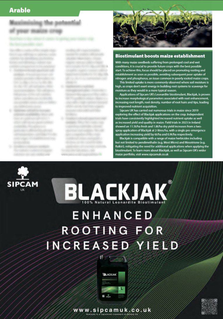 Look out for our latest updates on using Blackjak to boost maize establishment - P44 of the @FarmersGuide May edition: farmersguide.co.uk/read-online/ or visit sipcamuk.co.uk for more information  

#SipcamUK #Maize #Blackjak