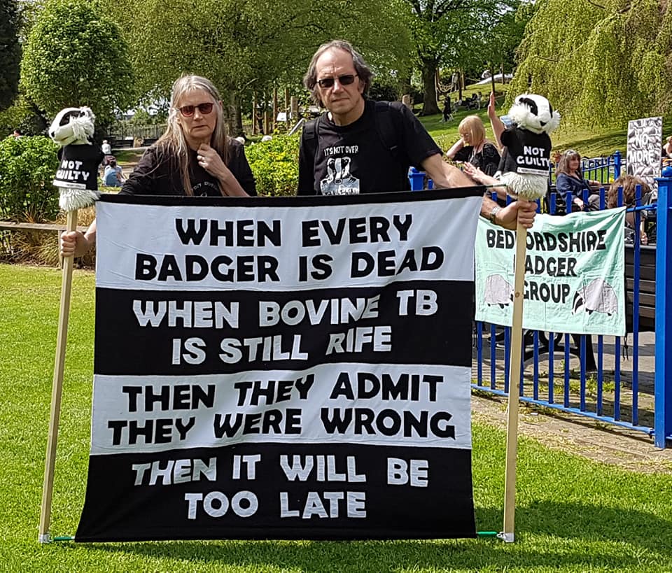 #badgermonday 🦡 memories ...
Evesham 5th May 2018
The Tories & NFU will 𝐧𝐞𝐯𝐞𝐫 admit that they were wrong & #stopthecull slaughtering this 'protected' (not from them!) species of 🇬🇧 #wildlife.
#MondayMotivation for much Tory resignation at the #PCC & #LocalElections2024! 🤞