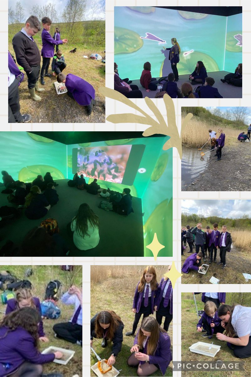 Last week saw a collaboration between the Immersive Room and the Biodiversity Officer as we went pond dipping! Ebbw Fawr Secindary were the first to experience the partnership with outdoor and indoor sessions.