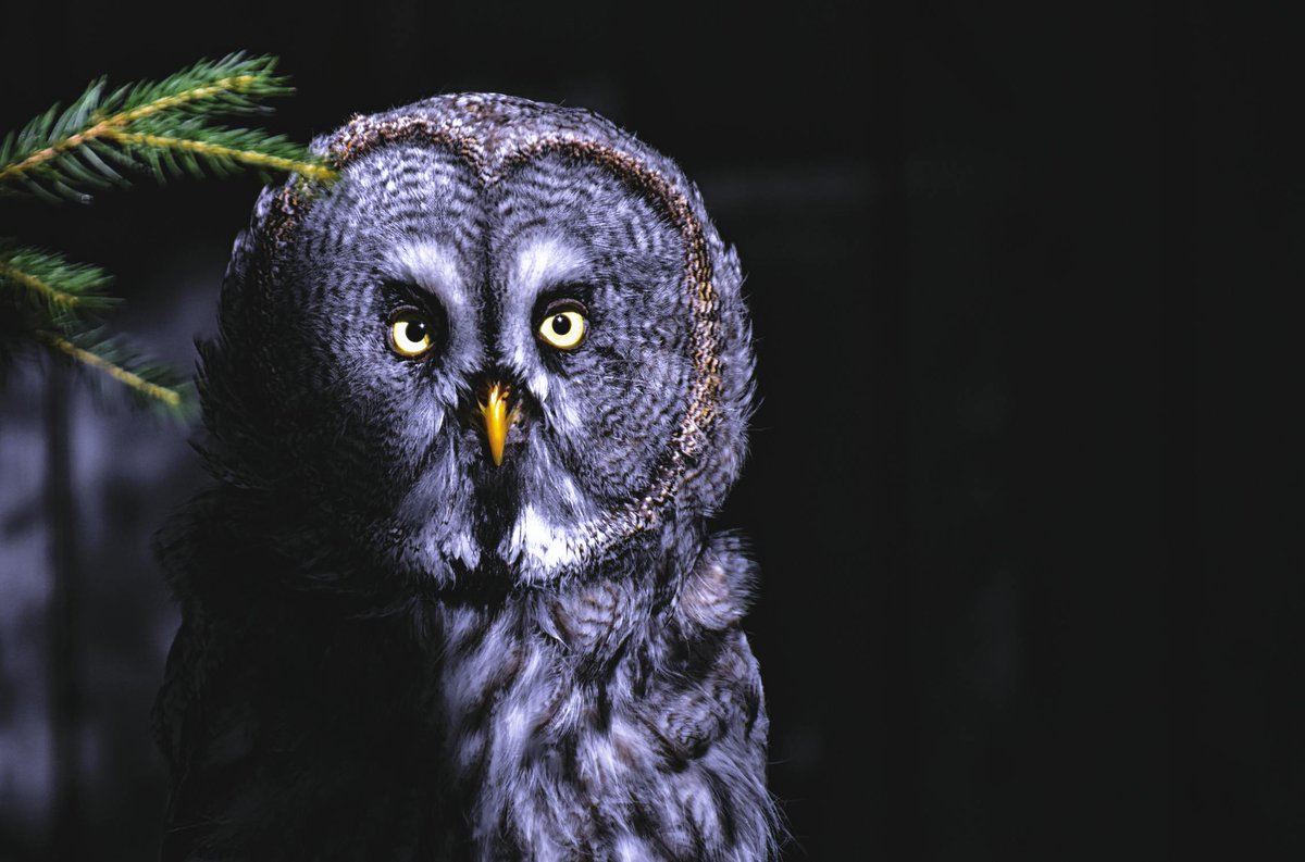 Register now, you must. Early bird discount, receive you shall, for #CC2024 conference in Chicago, yes. 

Ends, the early bird registration discount does, on May 3. 

More details, find here:
cc.acm.org/2024/attend/#r…