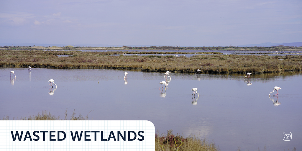 facta (@facta_) on Twitter photo 📢New #investigation out! #WastedWetlands, a series on #Mediterranean #wetlands by <a href="/facta_/">facta</a>
🖊️On <a href="/IlBoLive/">Il Bo Live</a> supported by <a href="/journalismfund/">Journalismfund Europe</a> & <a href="/Sissaschool/">SISSA</a>
🇮🇹🇩🇪🇮🇪Part of a cross-border team
🔗1st article by @elisabetta_tola tinyurl.com/3uppndac
🔍Learn more tinyurl.com/33te5t3m 📢New #investigation out! #WastedWetlands, a series on #Mediterranean #wetlands by <a href="/facta_/">facta</a>
🖊️On <a href="/IlBoLive/">Il Bo Live</a> supported by <a href="/journalismfund/">Journalismfund Europe</a> & <a href="/Sissaschool/">SISSA</a>
🇮🇹🇩🇪🇮🇪Part of a cross-border team
🔗1st article by @elisabetta_tola tinyurl.com/3uppndac
🔍Learn more tinyurl.com/33te5t3m