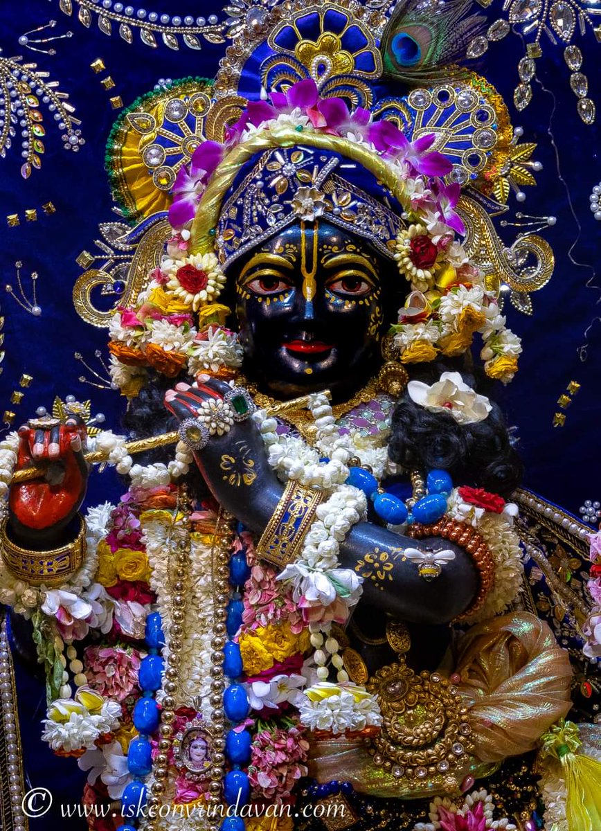 Jai Sri Krishna 💐🍎🍍🍓