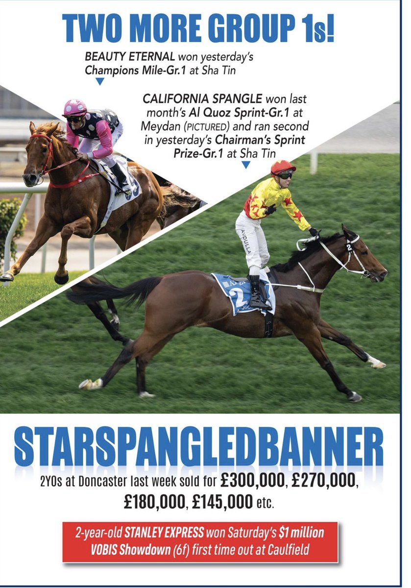 Starspangledbanner European Champion Sprinter & proven Gr.1 sire the World over @CoolmoreAus @TomMagnier