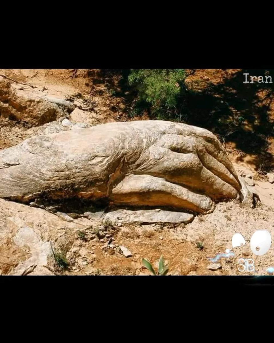A giant hand discovered in Persia The rocks were alive Geology is hard-boiled biology‌‌