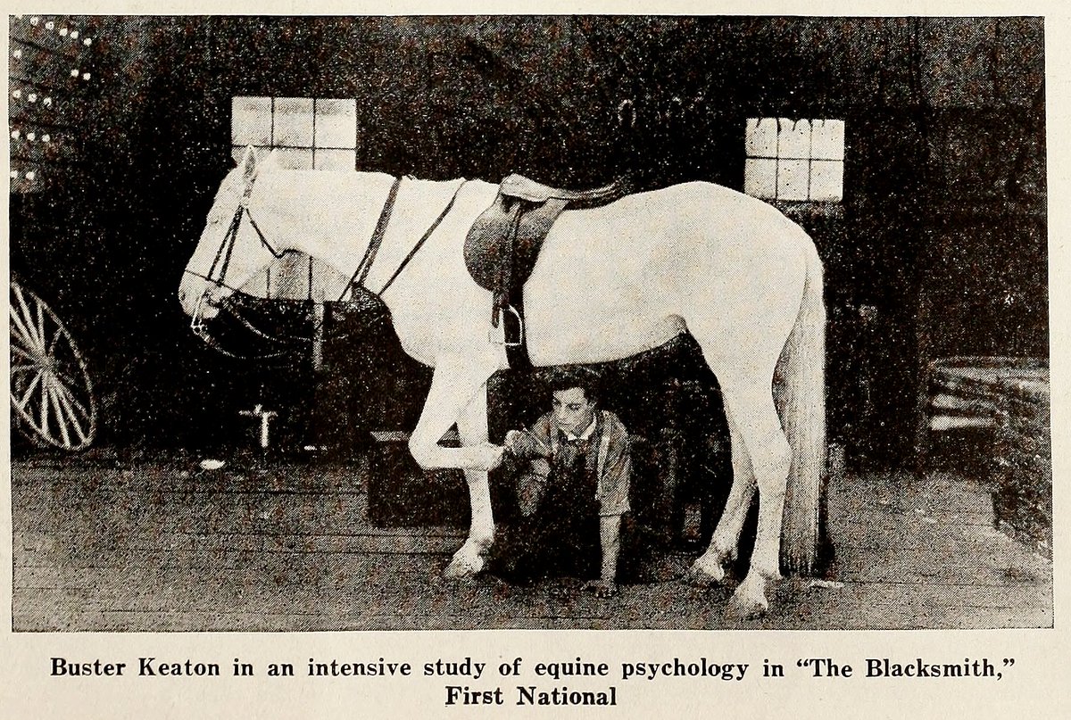 Buster Keaton is an intensive study of equine psychology in 'The Blacksmith,' First National

-Exhibitors Trade Review, July 22, 1922
#busterkeaton #damfino #oldhollywood #silentfilms