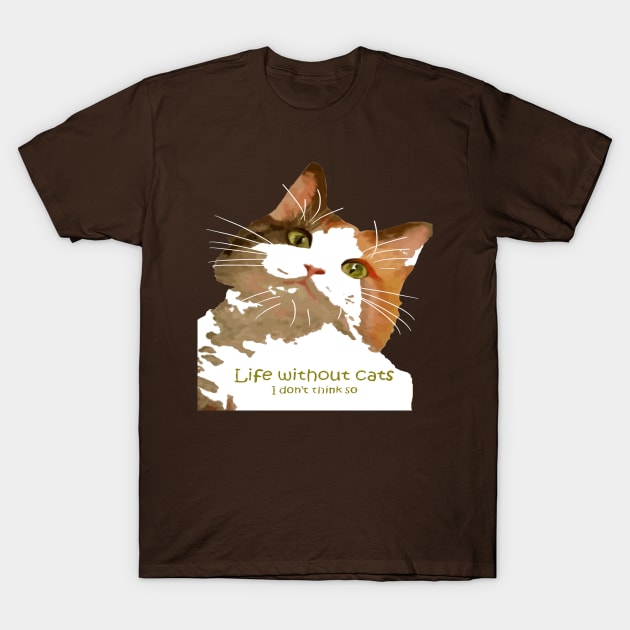 Life Without Cats I Don't Think So Calico Cat - Calico Cat - #TShirt #mondaythoughts #MondayFunday  #catlovergifts #catlover #catlovers #catlovergift #catloversworldwide #cats #catsofx #cat #catlady #catshirts #catshirtsfunny #kidsshirts #catshirtskids 
teepublic.com/t-shirt/465590…