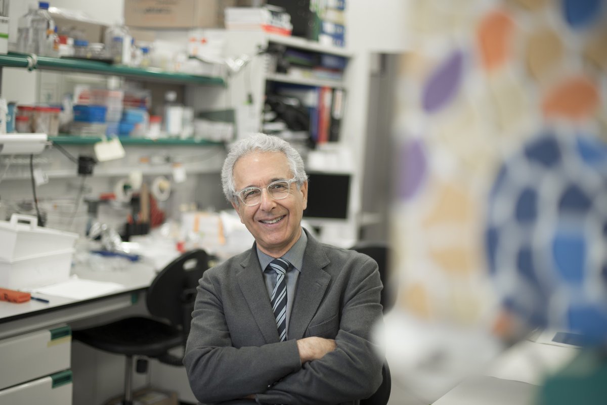 🏆 Congratulations to Dr. @JJGuinovart for receiving the prestigious Israel Pecht Award! 👉 This recognition, presented by @FEBSnews, acknowledges exceptional contributions to the field of molecular biosciences. ➕here➡️rb.gy/bqxmuo #FEBS60 @SEBBM_es @UniBarcelona