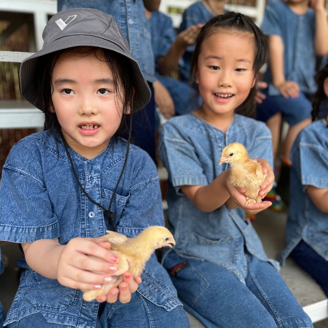 EY4-5 learners visited Pa Jeep farm to explore diverse animal habitats. This trip focused on understanding suitable environments for farm animals and comparing their needs to wild counterparts.