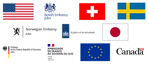 The Embassies of Canada, the European Union, France, Germany, Japan, the Netherlands, Norway, Sweden, Switzerland, the United Kingdom, and the United States renew their call on the transitional government to immediately halt recent actions that have imposed illicit and