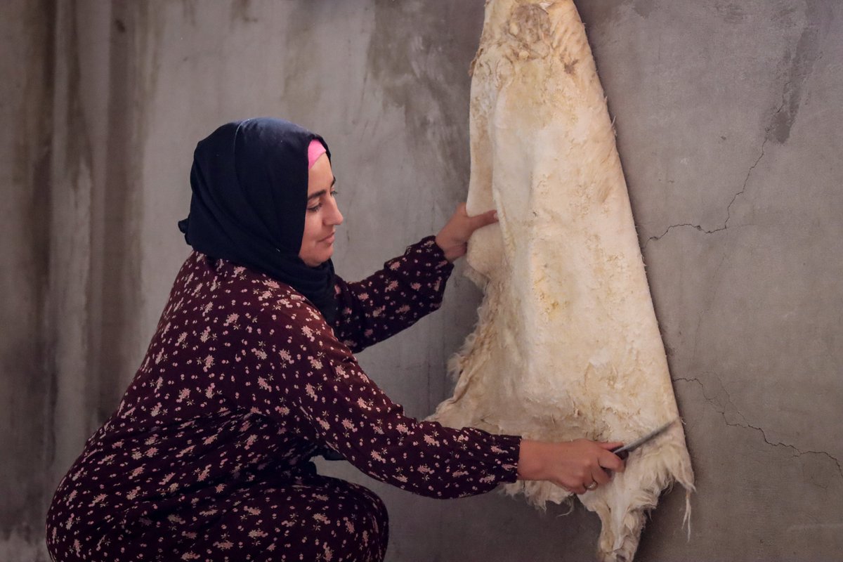 Supporting self-resilience is so important in crisis settings. Learn how @UNDP, @UNFPA & @FAO Joint 🇺🇳 Programme in Deir Ez-Zor is empowering women 🧕🏽 like Fadia, 33, a mother of three, & helping them rebuild their livelihoods. 👉 bit.ly/4cmWc5a @UndpSyria