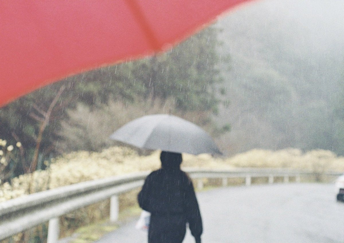 雨の日
 #filmphotography