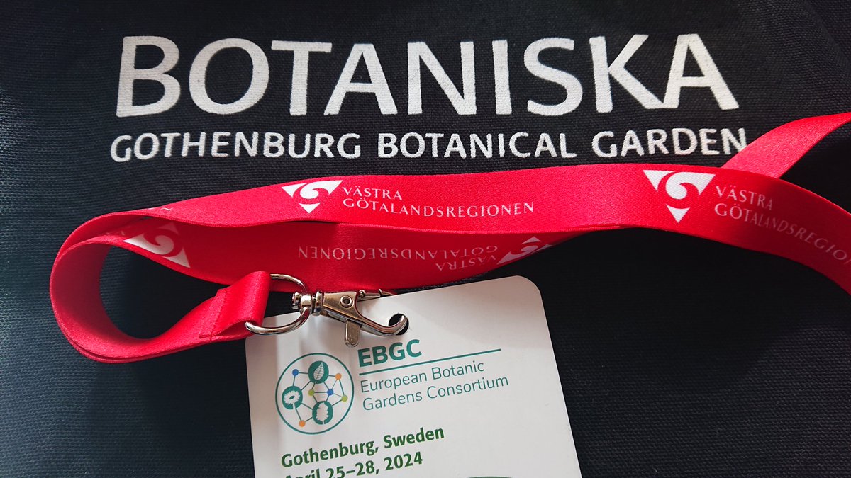 Just back from 4 day meeting with representatives from 23 European #botanicgardens national networks. Exciting to work with such knowledgeable individuals towards an action plan for European #plant #conservation. Thank you to the amazing host Gothenburg Botanical Garden @bgci