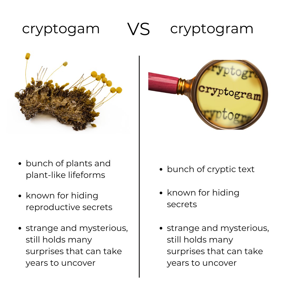 Decrypting cryptogams vs cryptograms. 🔍 

Telling species apart is our specialty. We’re now bringing our cryptogam collection of the Australian National Herbarium the world, thanks to digitisation.

Explore the enigmatic world of cryptogams: csiro.au/en/news/all/ar…