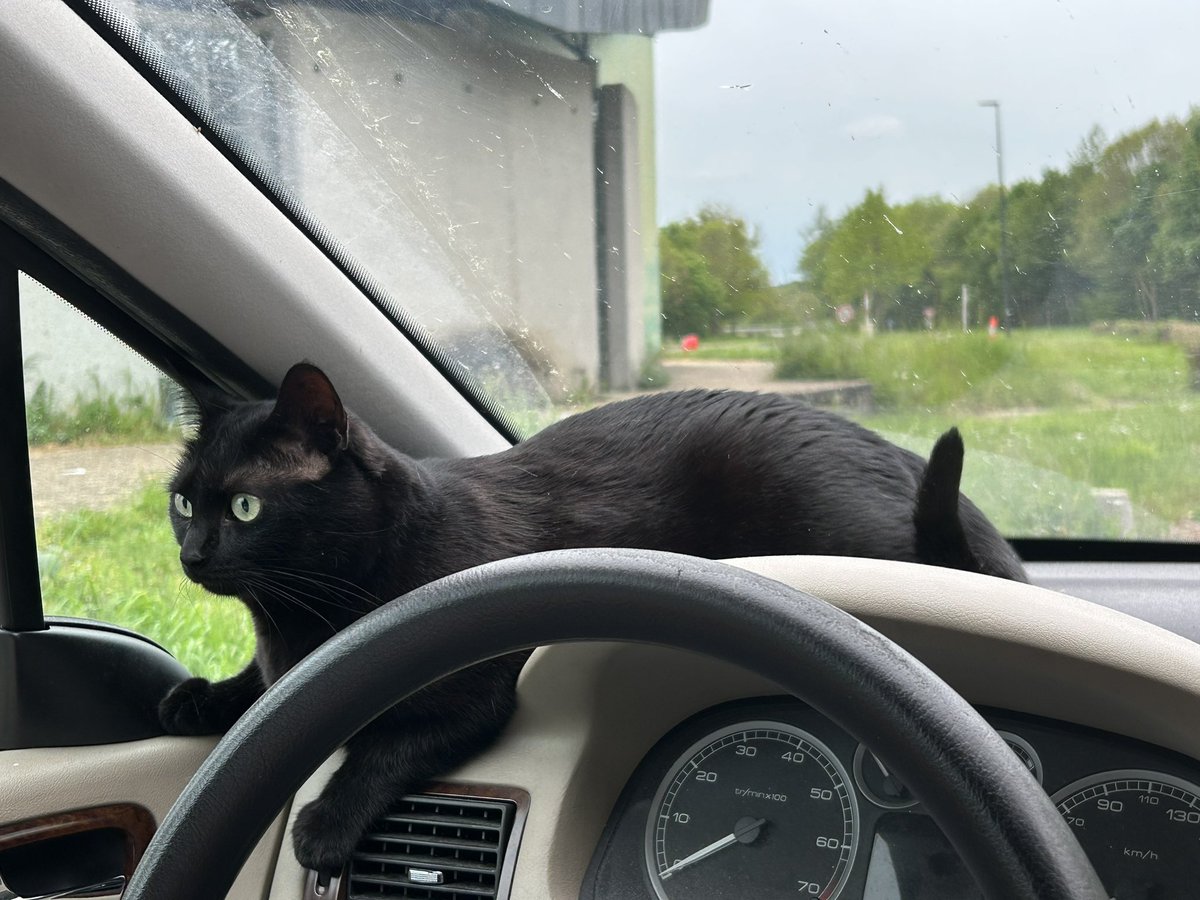 Pov depart en vacances 🐱✨💜