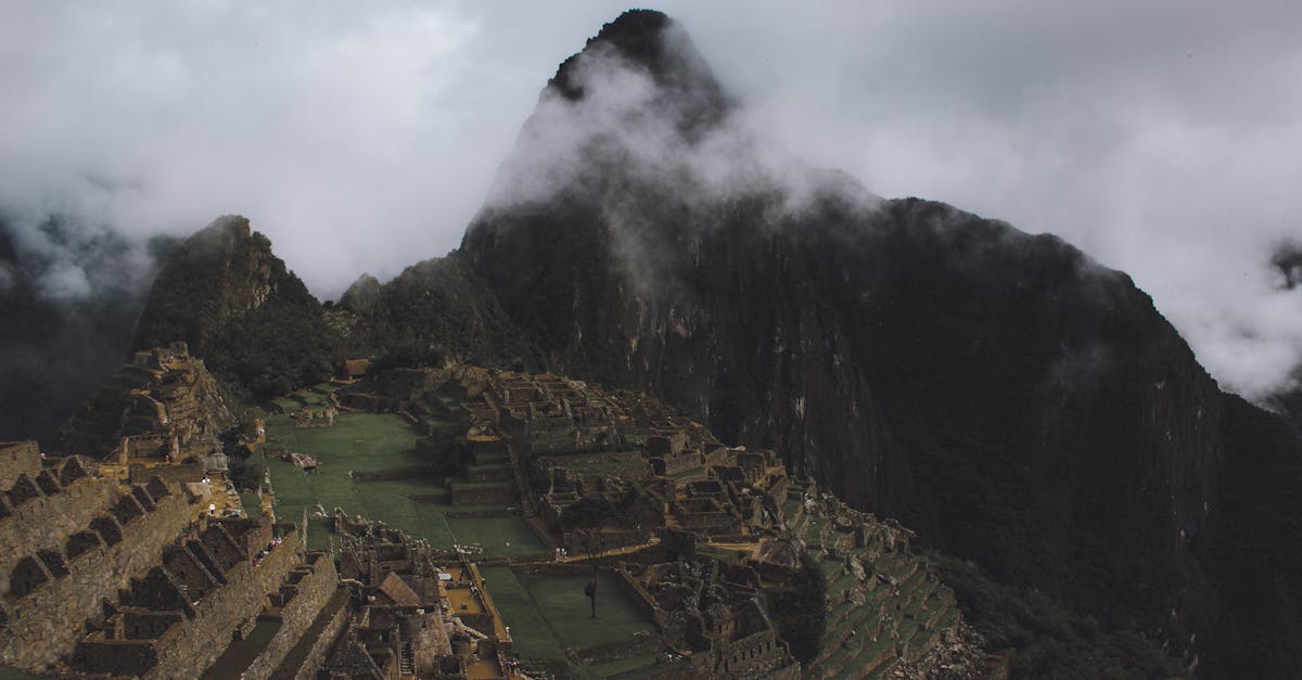 Did you know?

The term 'Classical Studies' also includes the study of ancient Inca civilization, known for its impressive agricultural terraces and the mysterious Machu Picchu.

#ClassicalStudies #Inca #History