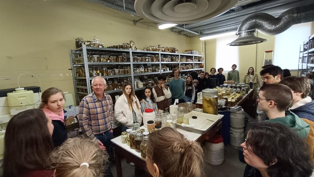 Biodiversity infrastructure is crucial in research and training. Prof. Jos Snoeks @LBEG_Lab @BiologyKULeuven @KU_Leuven shows fish collections @africamuseumbe to students 'Parasitology and One Health' @uhasselt @BiTE_UHasselt @CMK_Uhasselt @GLW_UHasselt #collectionsareessential