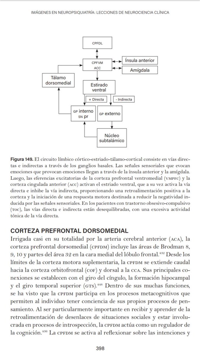 Diagramas de circuitos límbicos (medial, basolateral, córtico-estriado-tálamo-cortical): 

En todos los casos destaca la función de la amígdala cerebral, sea en el procesamiento emocional, en la formación de memoria explícita, o en la iniciación de la respuesta motora.