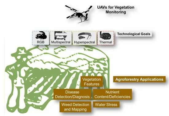 #MostCited 🌿#UAVs for #Vegetation Monitoring: Overview and Recent Scientific Contributions by Ana I. de Castro, Yeyin Shi, Joe Mari Maja and Jose M. Peña mdpi.com/2072-4292/13/1… #vegetation