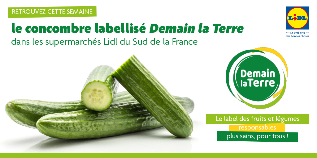 Vous aviez déjà vu un concombre engagé ? 🥒✊ Maintenant oui ! ➡️ Le concombre origine France labellisé @DemainlaTerre1 est à retrouver dès cette semaine dans les supermarchés #Lidl du Sud de la France ! 🔍 Demain la Terre, c’est le label des fruits et légumes responsables…