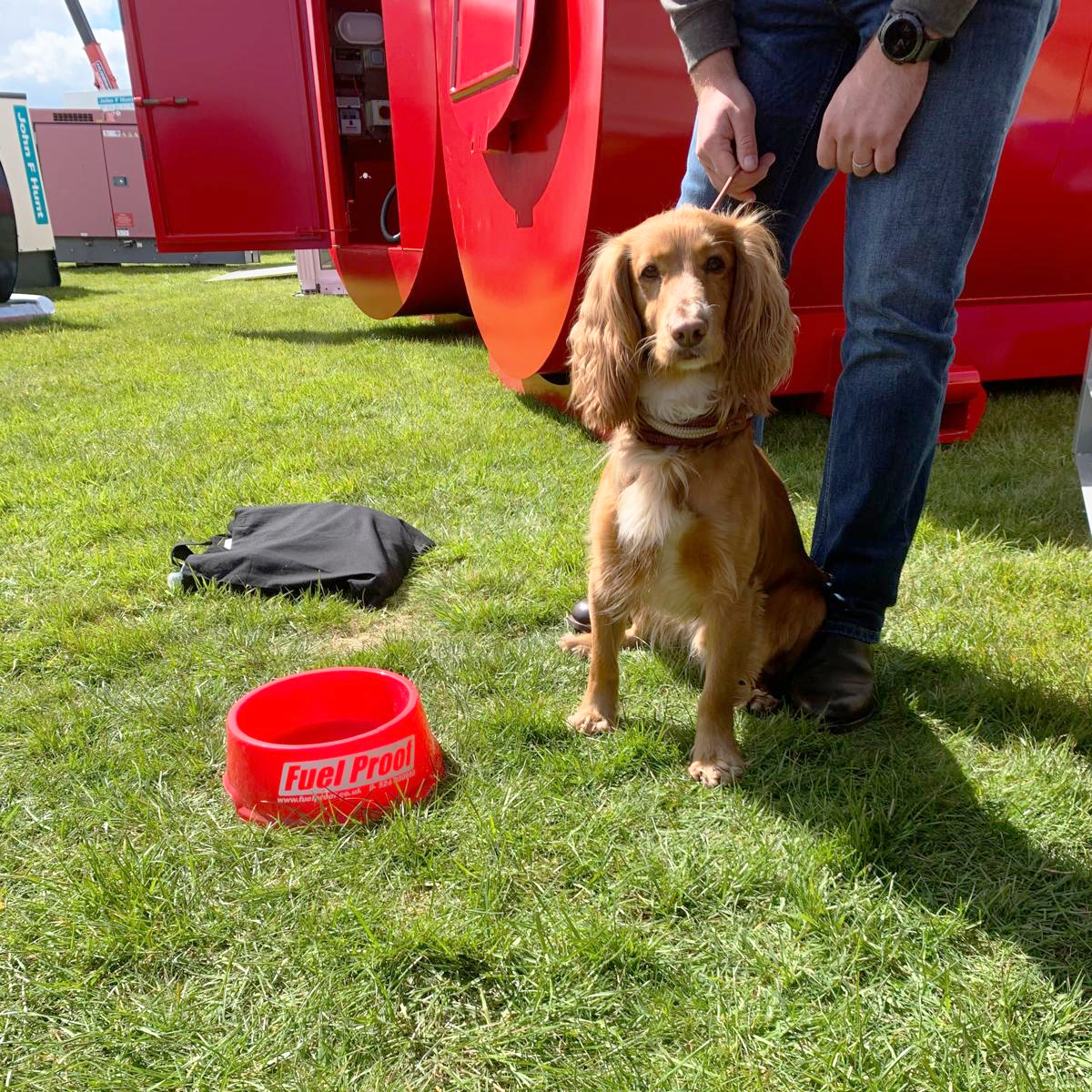 Super busy on our trade stand this weekend, what a fantastic #ScotPlant 2024! Seeing so many four-legged friends making a pit stop was an added bonus. 🐶🙂 Thank you to all our customers, visitors and to @ScotPlantEvent for a brilliant show. See you next time! #dogs #doggo