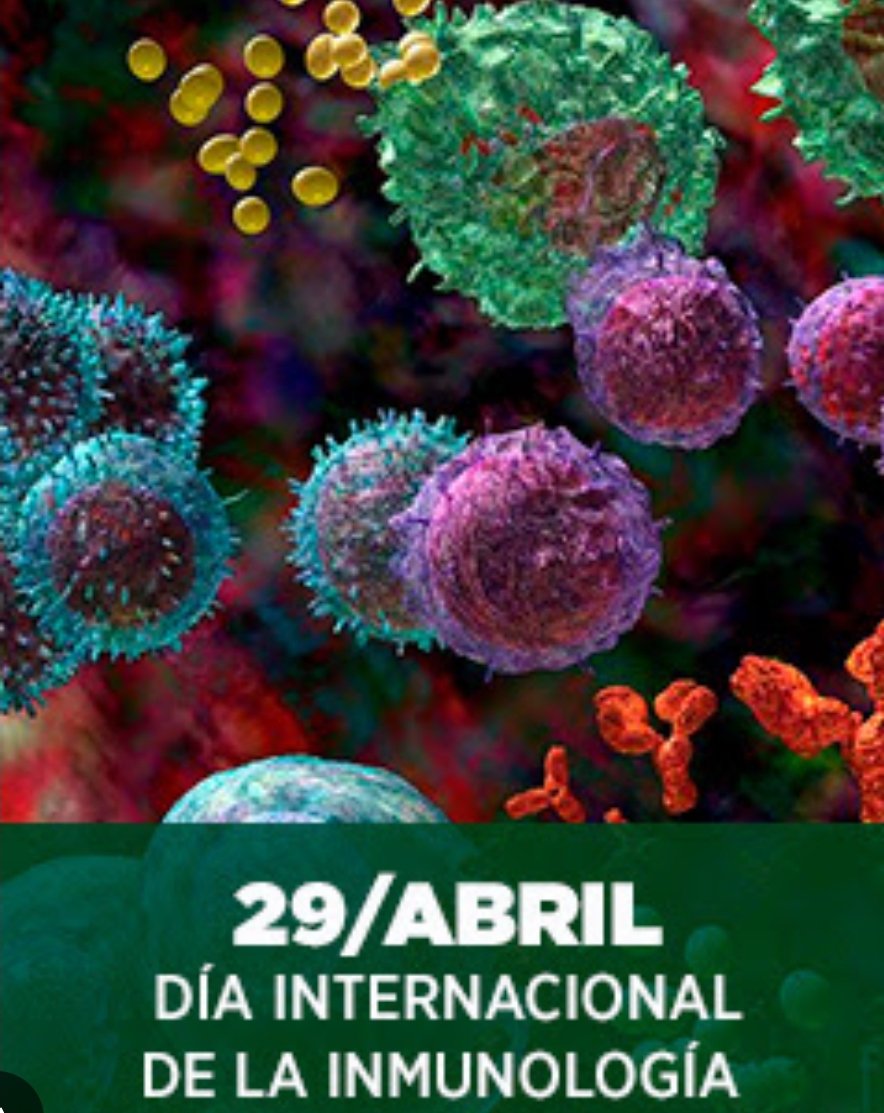 Cada 29 de abril se celebra el #DíaInternacionalDeLaInmunología, con el fin de divulgar la importancia de la inmunología como ciencia, así como sensibilizar acerca del impacto de esta disciplina científica en la erradicación de infecciones, el cáncer y enfermedades autoinmunes.