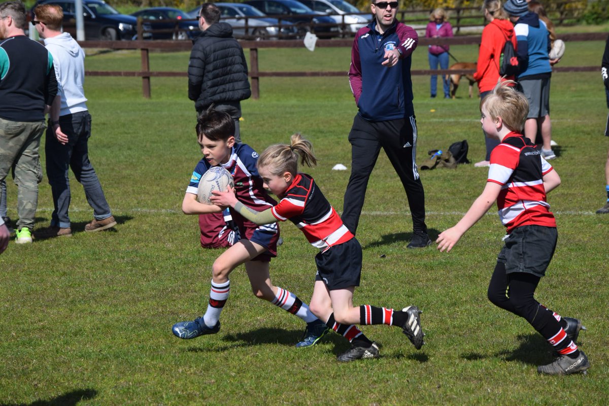 Stillorgan-Rathfarnham RFC tweet media