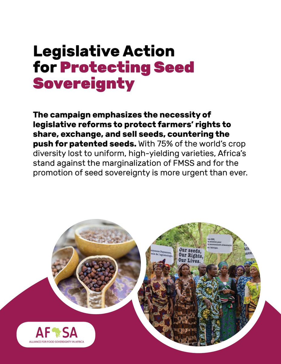 To protect Farmer Managed Seed Systems there is need to put in place policies to protect seed sovereignty. #SeedIsLife #MaSemenceMavie #InternationalSeedsDay