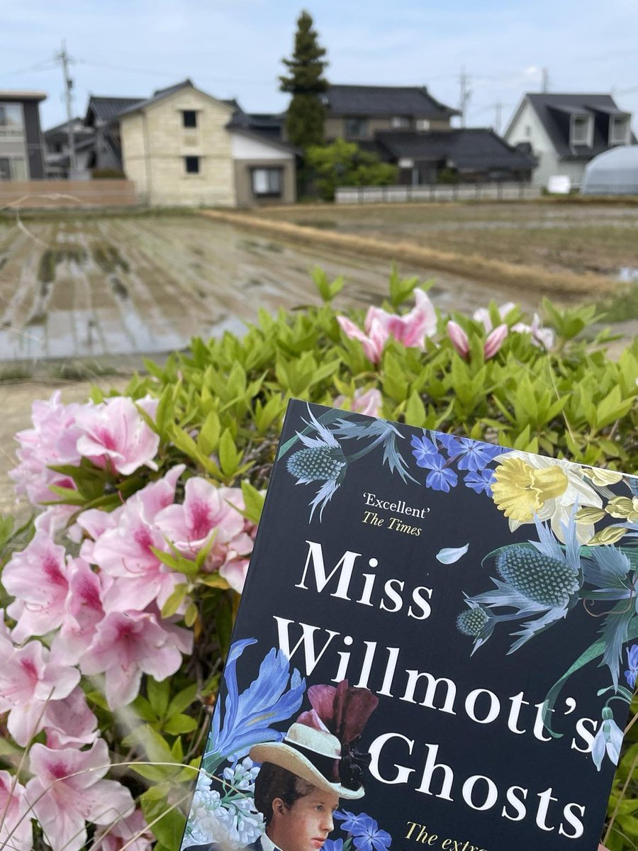 Miss Willmott's Ghosts makes it to Japan; one copy at a time...