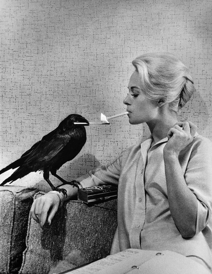 Tippi Hedren on the set of The Birds, 1963