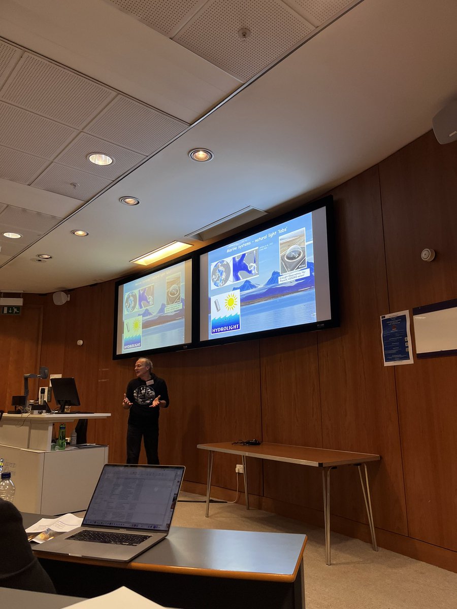 IremDenizliMSc's tweet photo. Started the #UKClockClub with Kim Last’s great talk about RDLN! https://t.co/KjfdoLhyzR