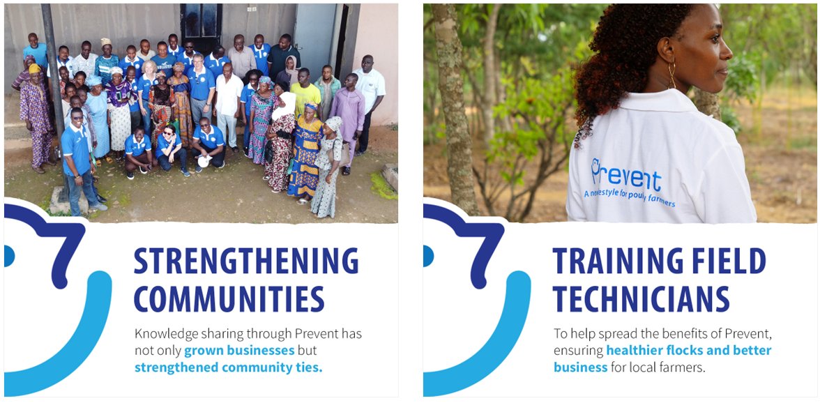 #PREVENT has trained 210 Field Technicians who are providing technical support to small-scale #poultry producers. This knowledge-sharing approach is boosting #animalhealth, helping grow more profitable businesses, and strengthening communities! @CevaSanteAnimal