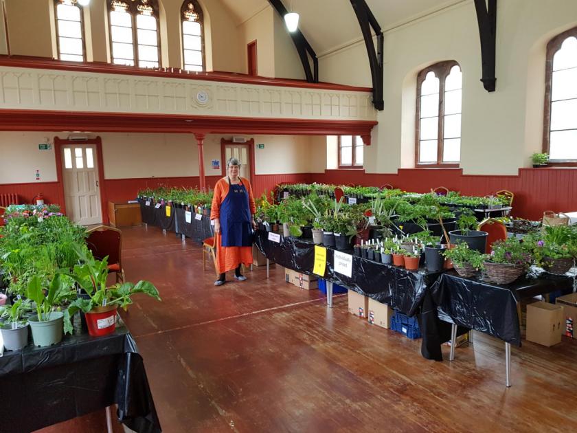 EXTRA supplies have been ordered in a bid to ensure that this year’s plant sale in Musselburgh does not repeat last year’s quick sellout. dlvr.it/T68xXR 👇 Full story