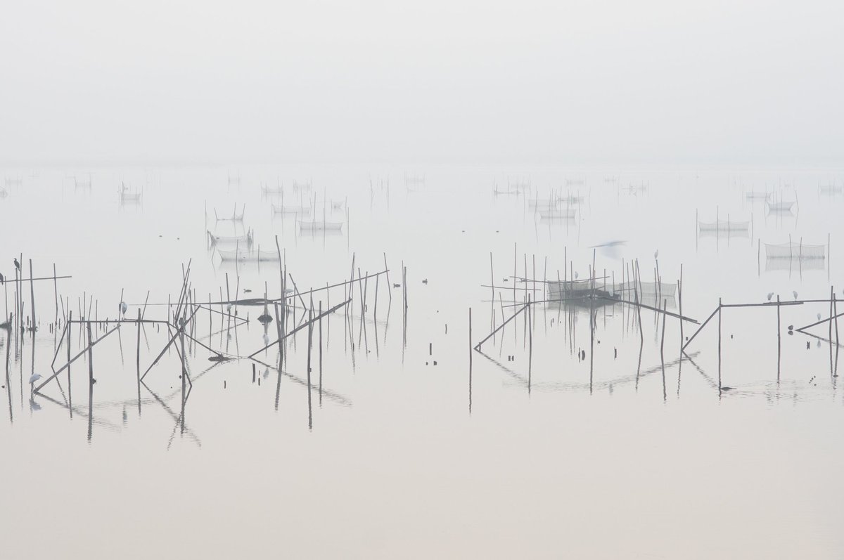 Kouji Tomihisa tweet media