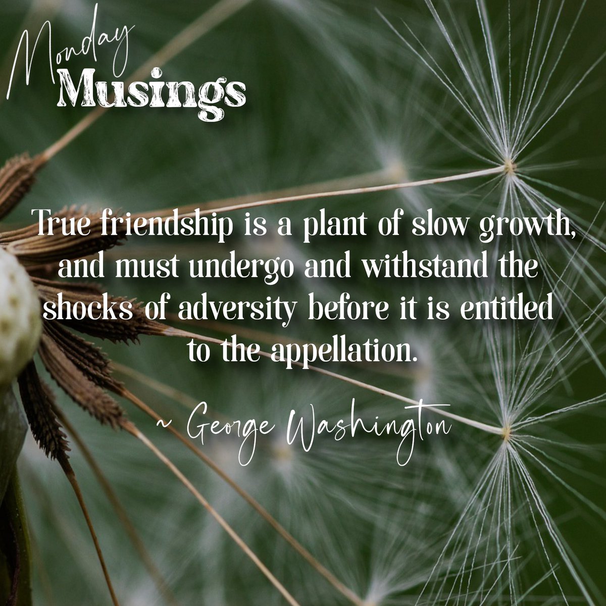 seeds blossom. see what I see?
by: DAJC

#mondaymusings #sixwords #art #acreativelife #writing #poetry #seeds #quotes #purpose #justbe #seeds #friendship #adversity #love #growth #selflove #self #patience