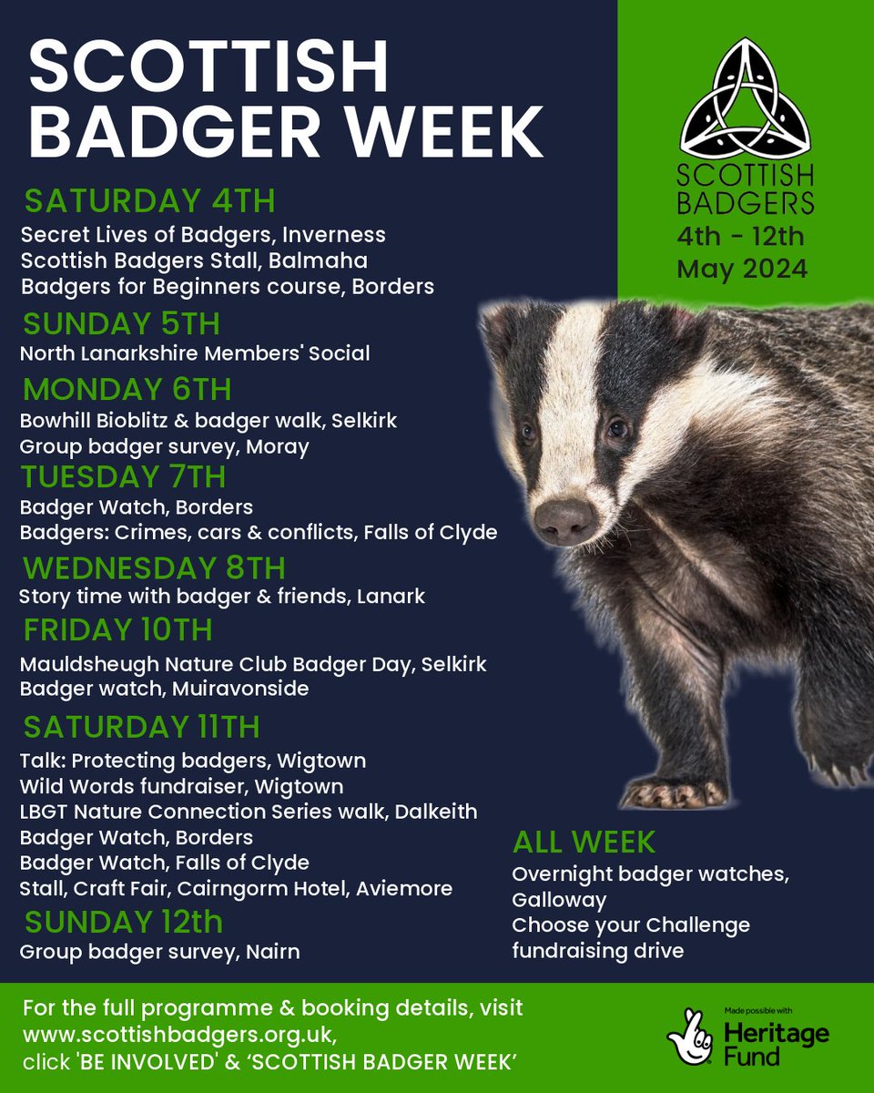 Full programme for Scottish Badger Week running from Saturday 4th to Sunday 12th May 2024! View the full programme & get involved >> bit.ly/3U4gs4M