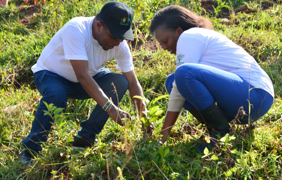 Passion is what pushes us daily with courage to bring impact to our communities. #GreenGoal🌱

#TreePlanting
#GreenerFuture 
#SustainableFuture #EcosystemRestoration 
#SustainableEnvironment