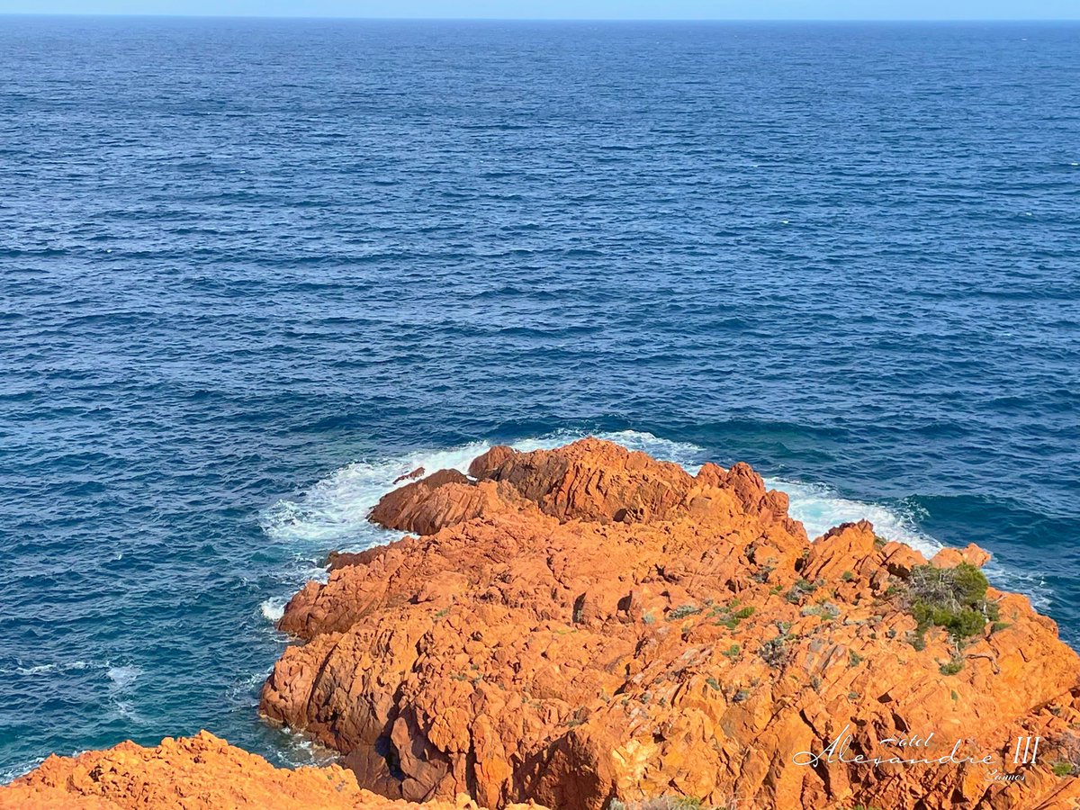 Freedom. 

#freedom #free #freespirit #cotedazurfrance #cannes #cannes2024 #onatousbesoindusud #bienvenueaCannes #visitcannes #festivaldecannes #cannessoleil