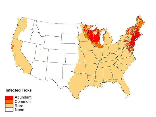 Distribution of ticks infected with Lyme disease in the US