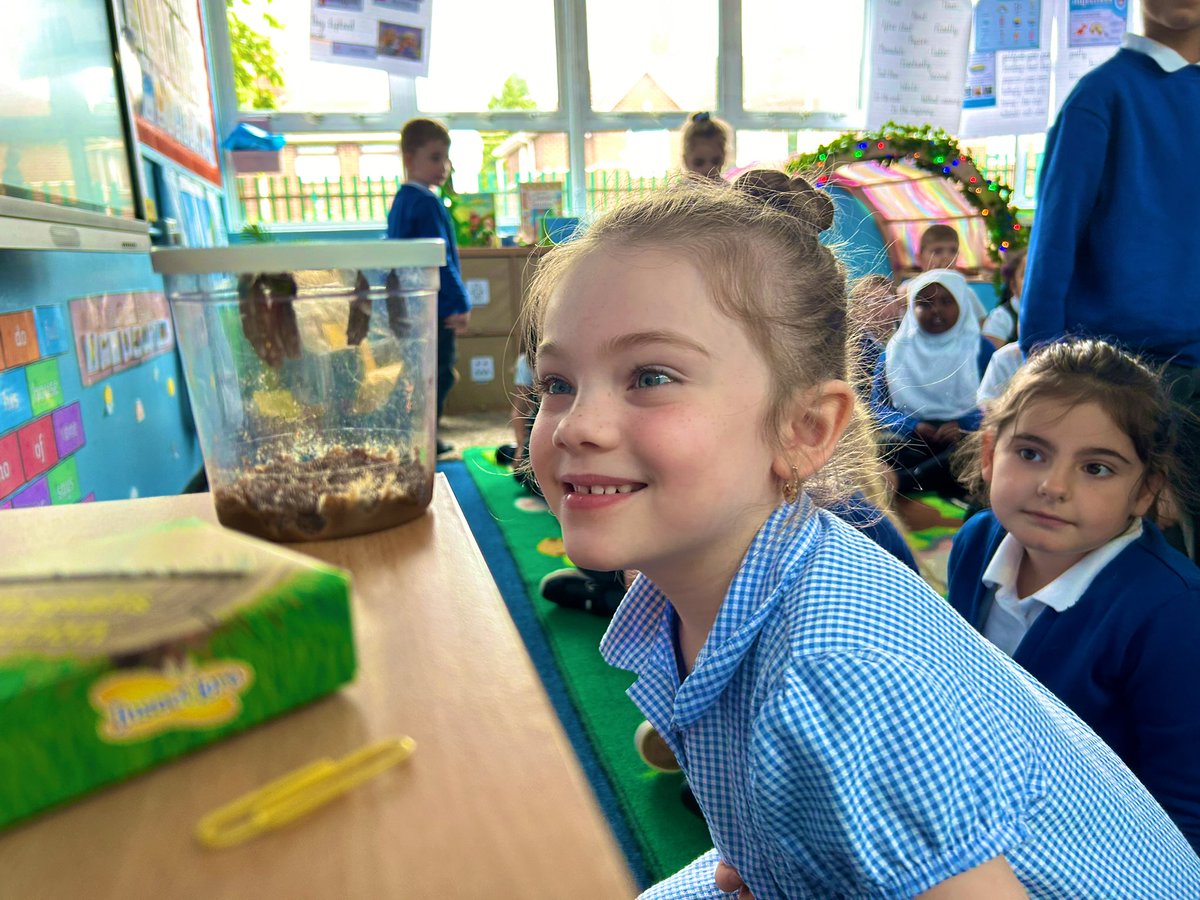 LeaForest_MissC's tweet photo. We are really enjoying watching our caterpillars transform into butterflies. This morning we were surprised to see them all hanging in their chrysalides 🦋🐛. @lea_forest_aet @Lea_Forest_HT @fiona_hartwell https://t.co/ZHzPObwQQk