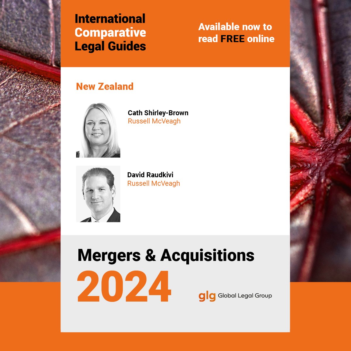 What special rules are there for #ForeignBuyers in #MandA cases in #NewZealand? Explore the answer and more on this topic area with @RussellMcVeagh in ICLG #Mergers & #Acquisitions 2024➡️: obi41.nl/aycrjz2z