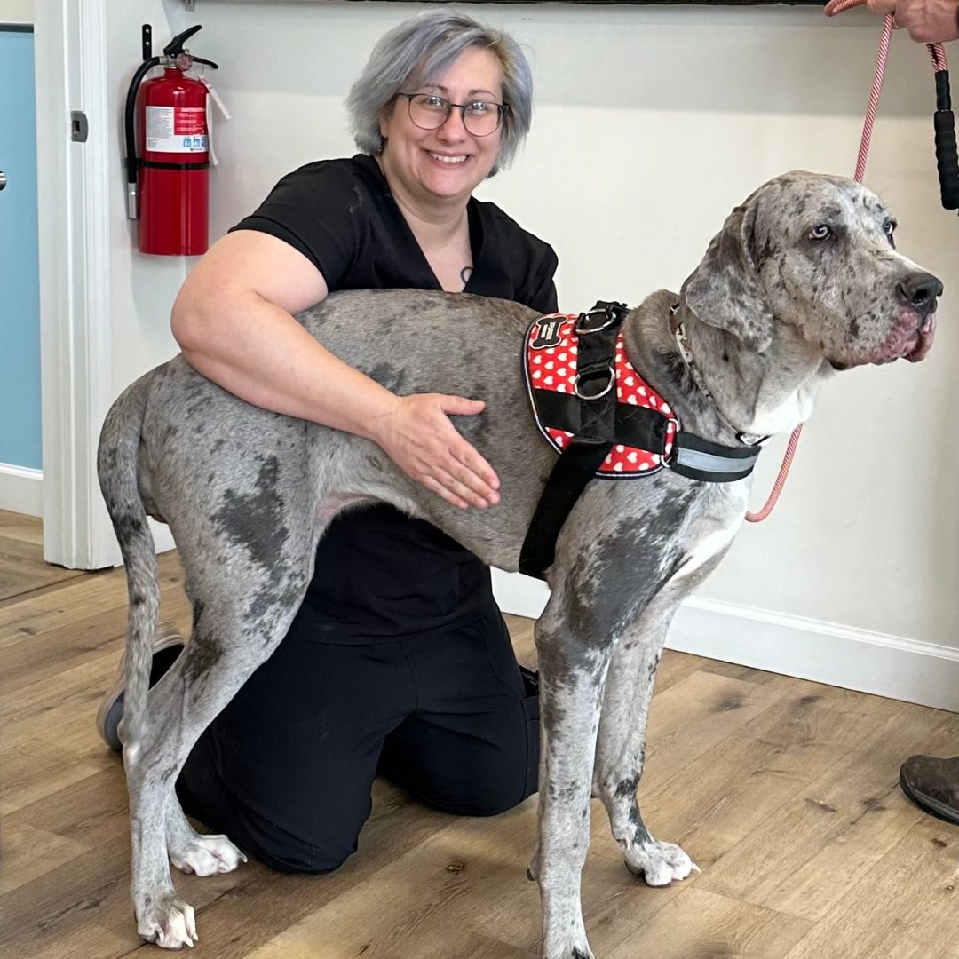 Our staff member Traci sharing a sweet moment with her new furry friend, Violet🐾 #FurryFriends #OakwellVet #JohnsonCity