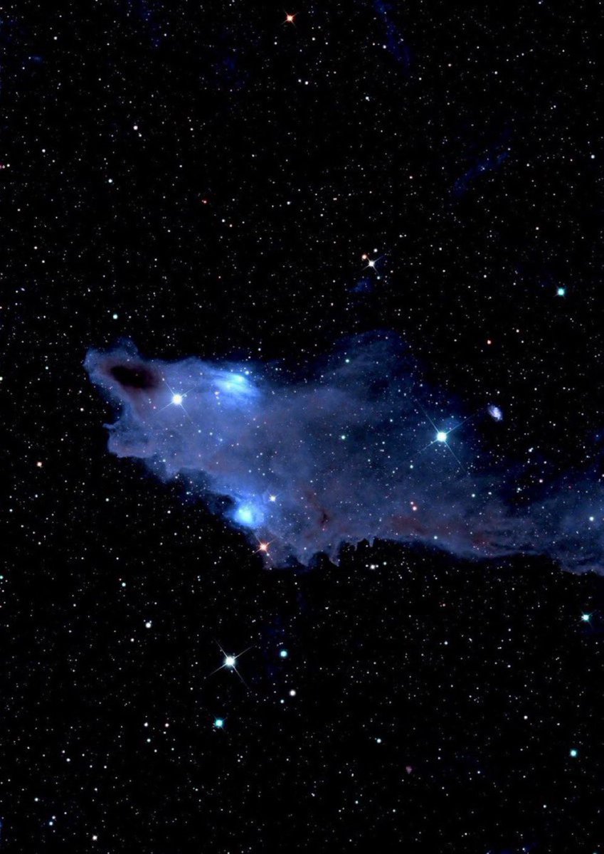 The Shark Nebula is made up of interstellar dust that’s so thick it hides most of the light from behind it, making it very difficult to process. This unique nebula takes the shape of a shark, spanning 15 light-years head to tail. 🦈