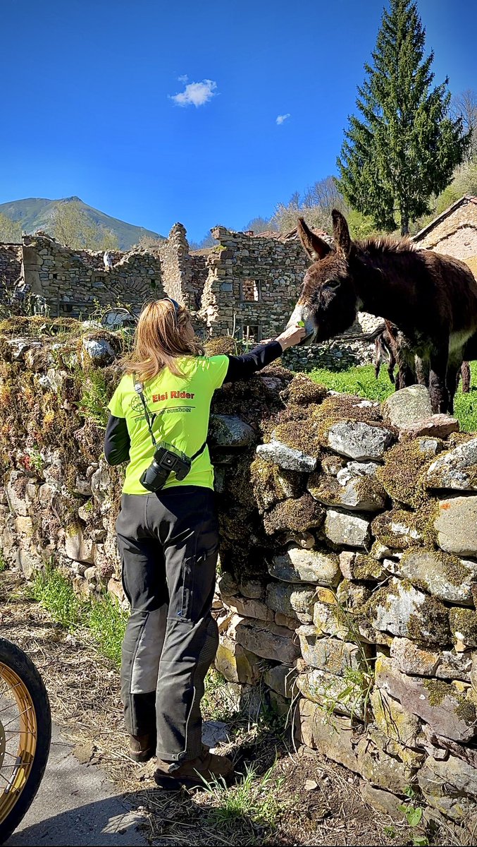 #reto100pueblos👉En un mundo cada vez más conectado digitalmente, nunca debemos olvidar nuestra conexión vital con la naturaleza. Respirar profundo, desconectarnos y encontrar la paz en sus paisajes.
#Españavaciada #neverstopexploring #CastillayLeón #aventureros #elsirider