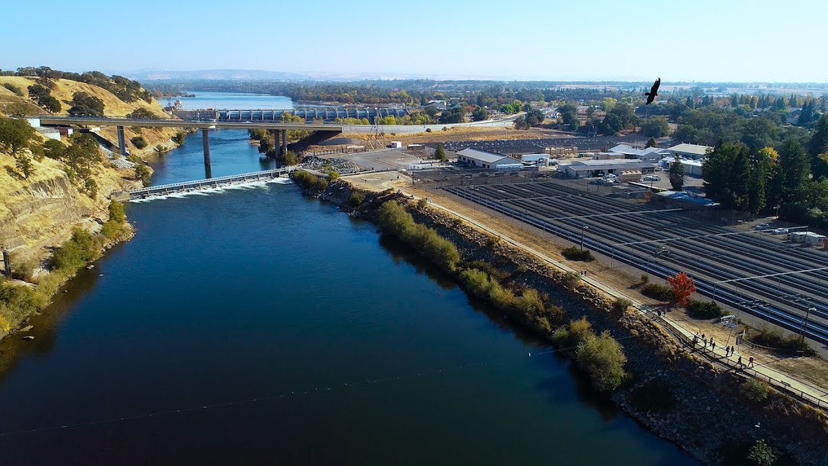 Discover the fascinating story of salmon at the Nimbus Fish Hatchery. Join Rob from Rob on the Road tonight at 7:30PM to learn more.