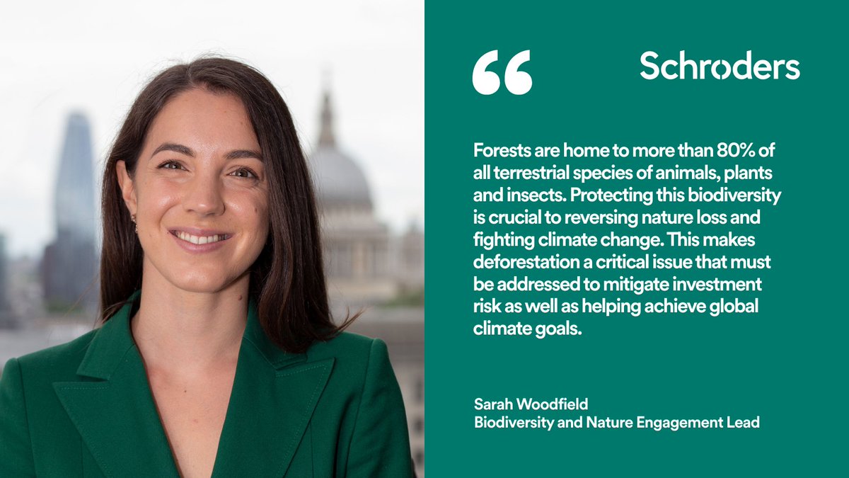 A week on from #EarthDay, Sarah Woodfield explains the risks deforestation poses to investments and global climate goals. As active owners, it is essential we're transparent about our action and we use our voice to accelerate action to zero deforestation: okt.to/gyXiN6