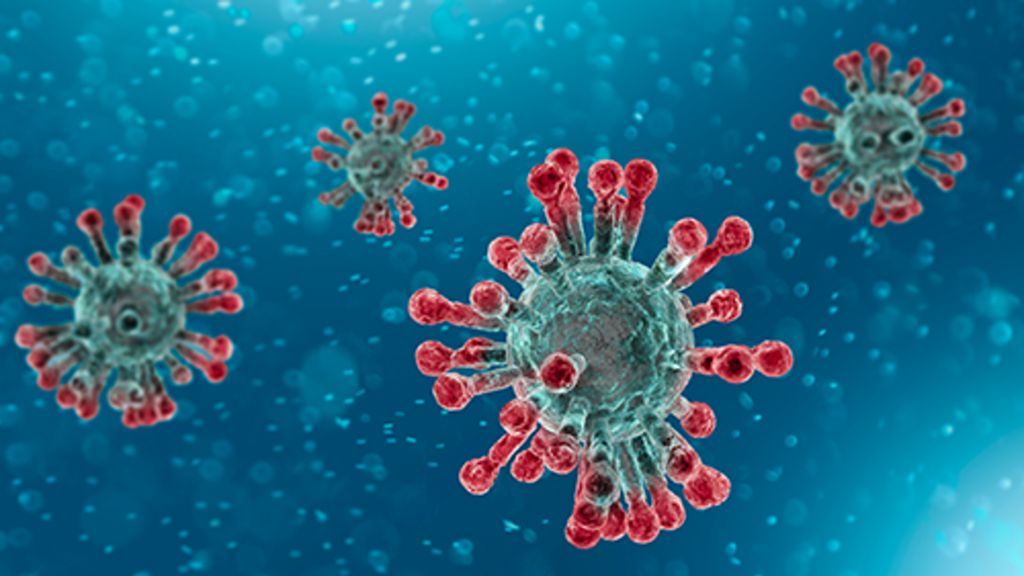 COVID’i 613 Gün Boyunca Atlatamadı, Virus 50 Kez Mutasyon Geçirdi #koronavirus #COVID19 Haber İçin: klimik.org.tr/koronavirus/co…