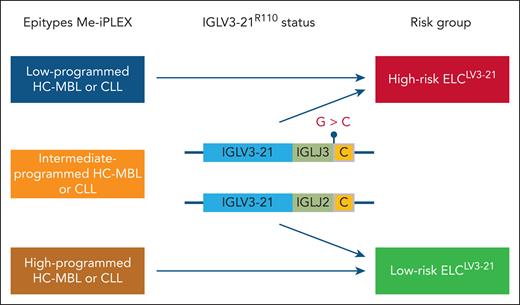 New signature predicts MBL-to-CLL progression
ow.ly/kcqR50RooSl #lymphoidneoplasia