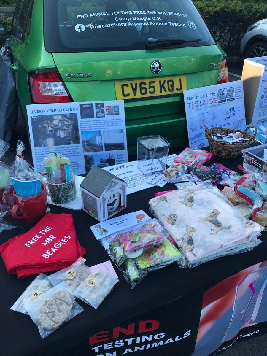 shazstratford64's tweet image. Outreaching in Camarthen today. Commitment to end animal testing enormous #computermodels #AI #Tox21 #UKBioBank #inChemico #StemCells #MicoDosing #MHRA #Toxicity #OrganOnAChip #HumanTissue #Organoids #VirtualScreening #InVitro #InSilico #MedicalImaging
@CBUK10 @CBUK22